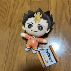 2025年最新】西谷夕 ぬいぐるみの人気アイテム - メルカリ