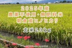 2025年産！九州・福岡県朝倉市産ヒノヒカリ玄米20キロ(農薬不使用・無肥料米)のサムネイル