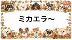 専用