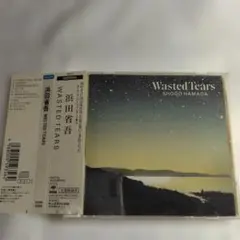 浜田省吾/ウェイステッド・ティアーズ WASTED TEARS まとめで２割引のサムネイル