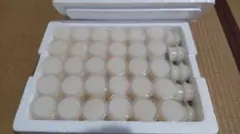 Item thumbnail for item eeaecb32-4248-452a-9392-adbc553b55a1