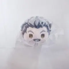 受注無し☆ハイキュー!!もちもちマスコットvol5 木兎光太郎