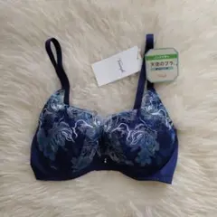 トリンプ　天使のブラ　580　E65　M008 定価6820円 ノンワイヤー