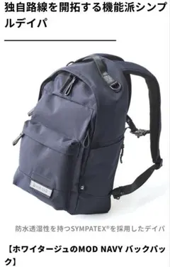 美品 WHITEAGEリュック ホワイタージュ porter briefingのサムネイル