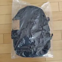 THE NORTH FACE HOT SHOT バックパック　オールブラックのサムネイル