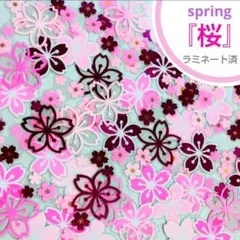 【春の壁面飾り】切り絵『 桜 』さくら・グラデーション綺麗/基本1セット～入学式