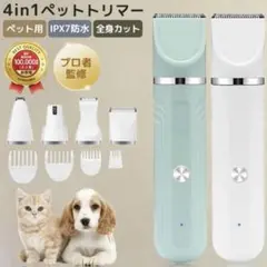 Item thumbnail for item 24f3f9f7-54c3-4bf5-bdff-1a262bb77cbe