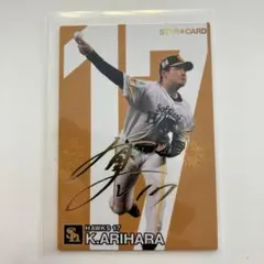 カルビープロ野球チップス　有原航平