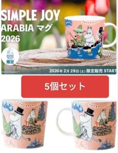 【新品】ムーミンバレーパーク限定　アラビア　ムーミンマグカップ　5個　ペア