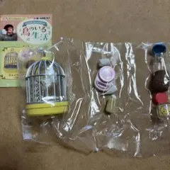 リーメント　鳥のいる生活　おはよう！今日も元気かな？のサムネイル