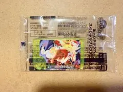 ポケモンフレンダ ウガツホムラ あたり ※【説明欄必読】