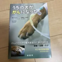 Item thumbnail for item e41c8b28-c67b-4613-b9ff-01b891a57f39