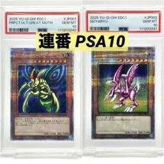 2026年最新】ホーリーナイトドラゴン シクの人気アイテム - メルカリ