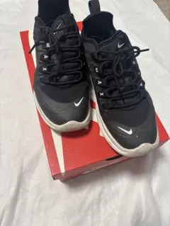 Nike Air Max ブラック スニーカー