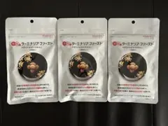 ビタブリッドジャパン ターミナリアファースト 120粒 3袋 - メルカリ