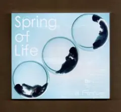 ■Perfume Spring of Life 初回限定盤DVD付 新古品未開封