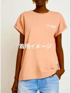 BALMAIN ピンク ロゴ Tシャツ 半袖 完売 夏 Sサイズ 極美品のサムネイル
