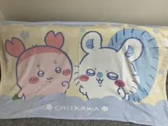 【ちいかわ】超BIGマイヤーブランケット　モモンガ×カニちゃん