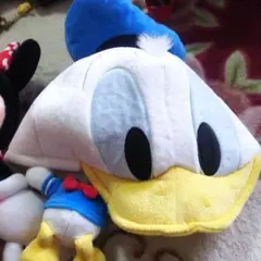 ドナルドダックキャップ&ミニーマウス