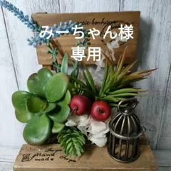 みーちゃん様専用特別価格企画Eセット20枚&FSセット10枚&FPセット12枚