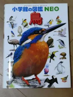 セール】旺文社学習図鑑 鳥（5）昭和レトロ図鑑（外カバー付き