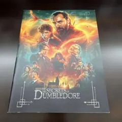 ファンタスティックビースト ダンブルドアの秘密【映画パンフレット