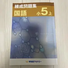 2026年最新】早稲アカ 錬成 小5の人気アイテム - メルカリ
