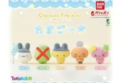 たまごっち カプセルフロッキーズ ガチャ みみっち まめっち ふらわっち めめ