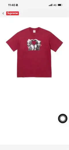 26ss S Supreme Skunk Tee cardinal - メルカリ