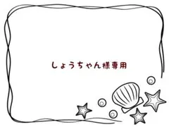 しょうちゃん様 リクエスト 4点 まとめ商品