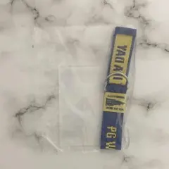 Item thumbnail for item 92f89f2e-d65b-4d42-b4b8-314b0d01af85