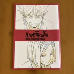 【美品】映画　劇場版ハイキュー！！　来場者特典　袋とじ未開封