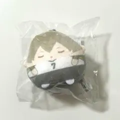 ハイキュー!! くじメイト ぬいくじ てのりんずコレクション 木葉秋紀 E賞