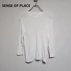 センスオブプレイス【美品】リブニット　長袖　カジュアル【フリーサイズ】