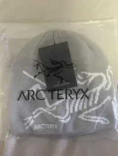ARC'TERYXビーニー グレー アーク archive 90s 00s 2025年最新】arc'teryx ビーニーの人気アイテム - メルカリ