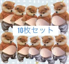 【柴犬シール 10枚セット】おなかぷにぷにシール　 スクイーズ　シリコン