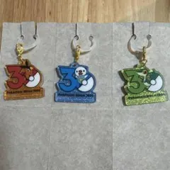 ポケモン　チャーム　ポケチャーム
