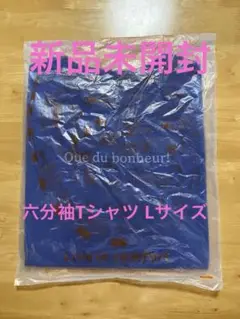 リブインコンフォート★トルコオーガニックコットンTシャツ★六分袖★L size