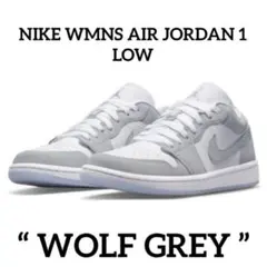 NIKE WMNS AIR JORDAN 1 LOW “ WOLF GREY ”