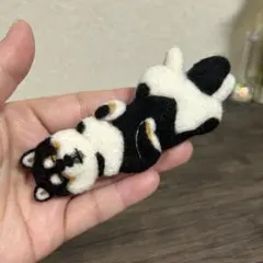 羊毛フェルト 犬 チワワ ブラック 黒 タン - メルカリ