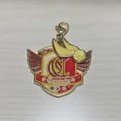 ハリーポッター ダイキャストチャームコレクション ガチャ