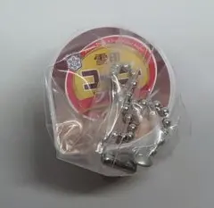 雪印メグミルクミニチュアチャームヨーグルト＆デザートシリーズ雪印コーヒープリン