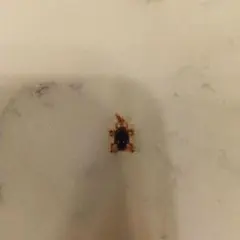 タサキ　ペンダントトップのサムネイル