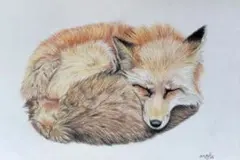 ゴンゴンママ様 リクエスト 2点 まとめ商品