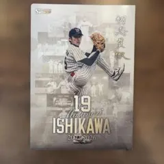 東京ヤクルトスワローズ 現役引退試合石川雅規 クリアファイル