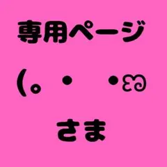 (。•⩊•ಣ 様　専用ページ