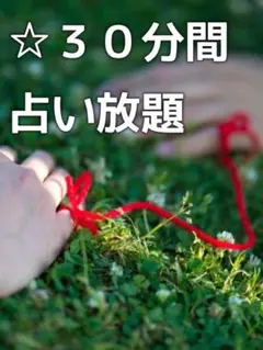 よっしぃ〜様専用　30分チャットリーディング