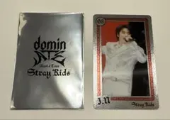 Stray Kids エコパ ライブフォトカード アイエン