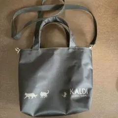 KALDI COFFEE FARM 2024夏ネコバック　ショルダーバッグ 猫柄