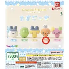 たまごっち TaMaGoTcHi カプセルフロッキーズ めめっち